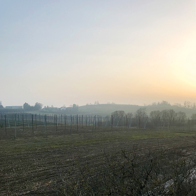 Konzeptentwicklung Fildenmoos Aussicht