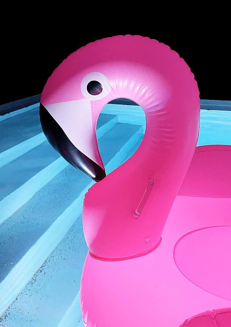 Pinker Flamingo im Pool