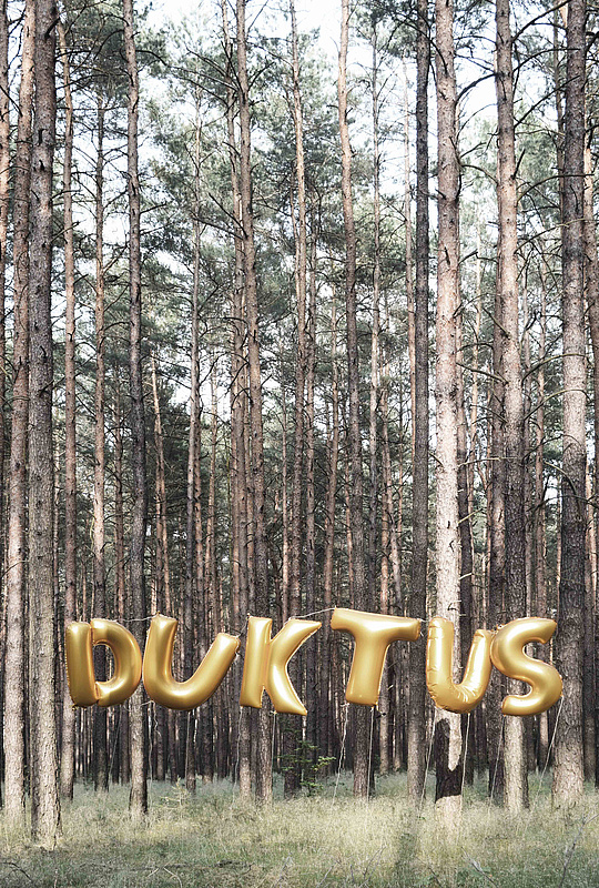 Duktus Schriftzug im Wald zwischen den Bäumen